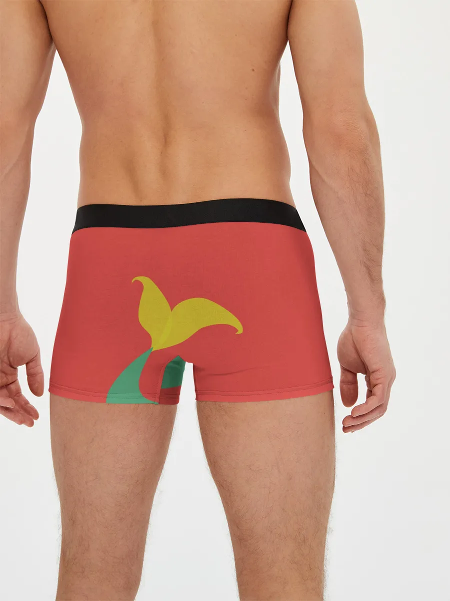 Мужские трусы боксеры / Ariel the Mermaid