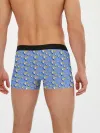 Мужские трусы боксеры / Gomers pattern