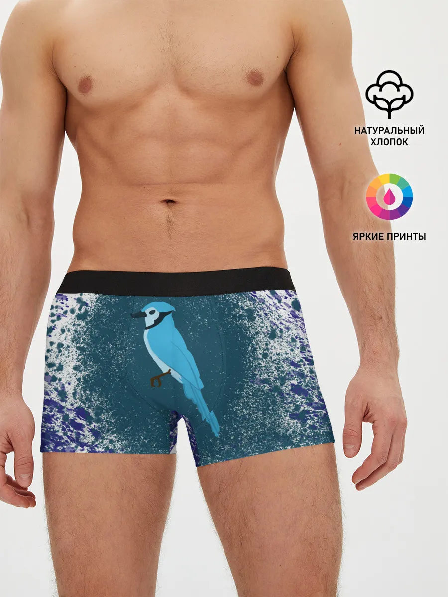 Мужские трусы боксеры / Голубая сойка