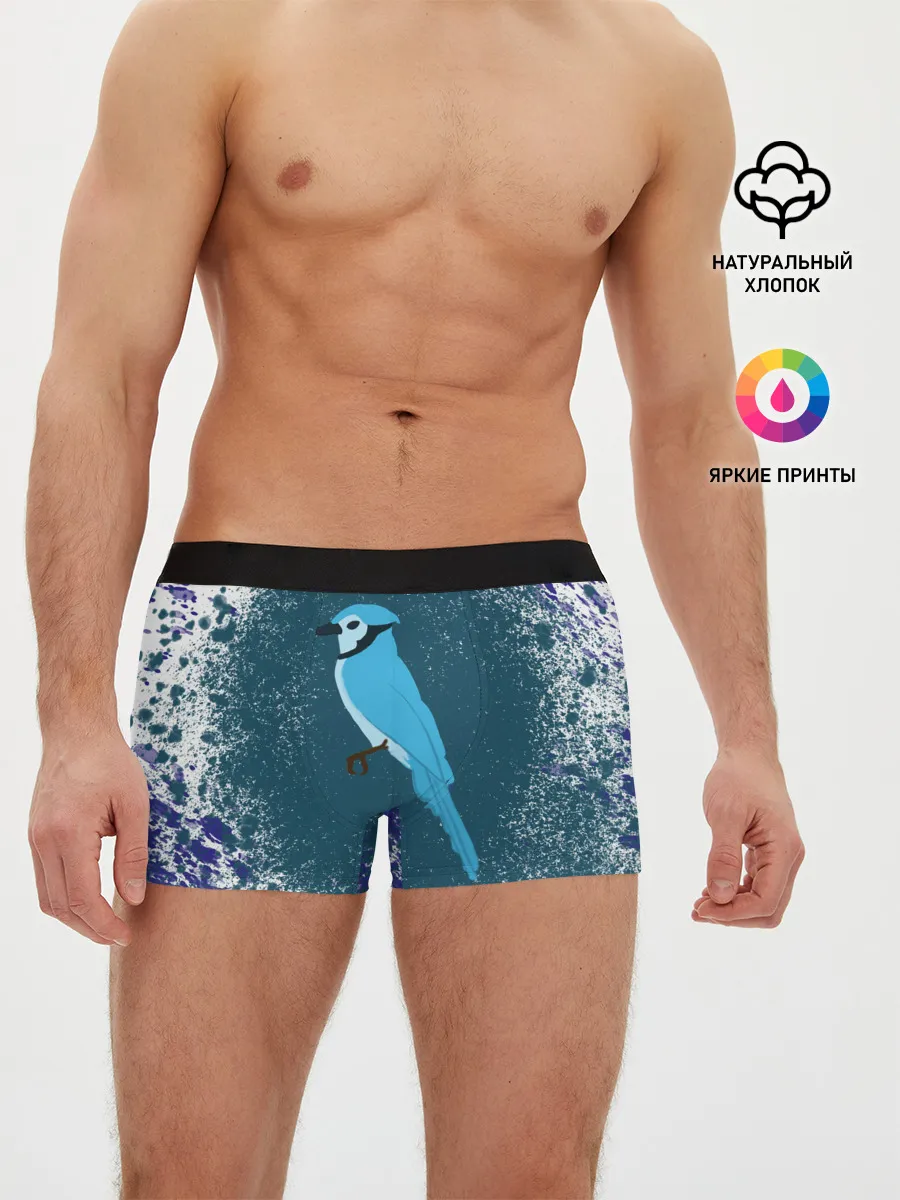 Мужские трусы боксеры / Голубая сойка
