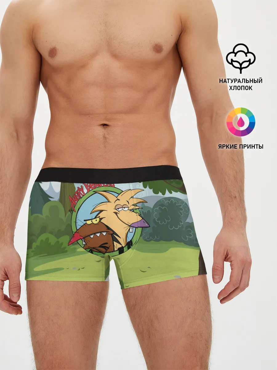 Мужские трусы боксеры / Крутые Бобры | Angry Beavers
