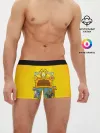 Мужские трусы боксеры / Simpsons nation