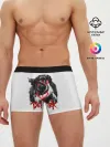 Мужские трусы боксеры / Берсерк - Berserk
