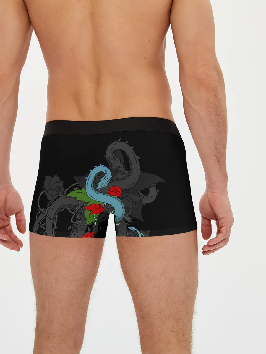 Мужские трусы боксеры / Дракон и Розы