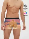 Мужские трусы боксеры / Мем собака качок DOGE