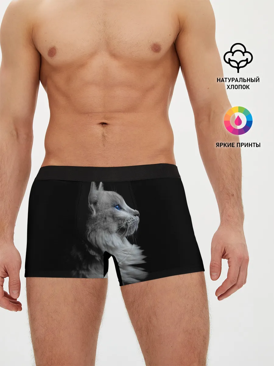 Мужские трусы боксеры / Голубоглазый гот