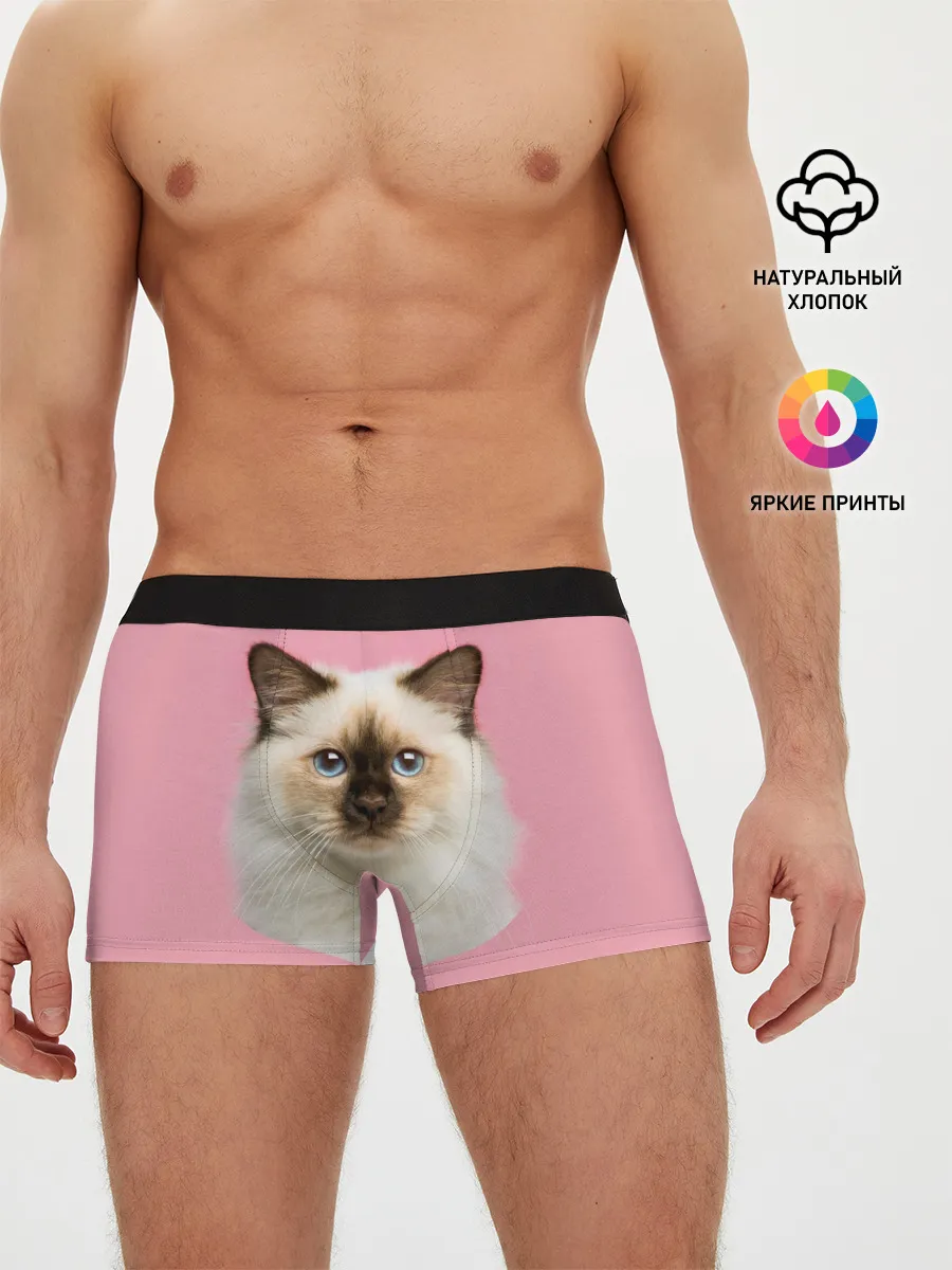 Мужские трусы боксеры / Пушистый кот