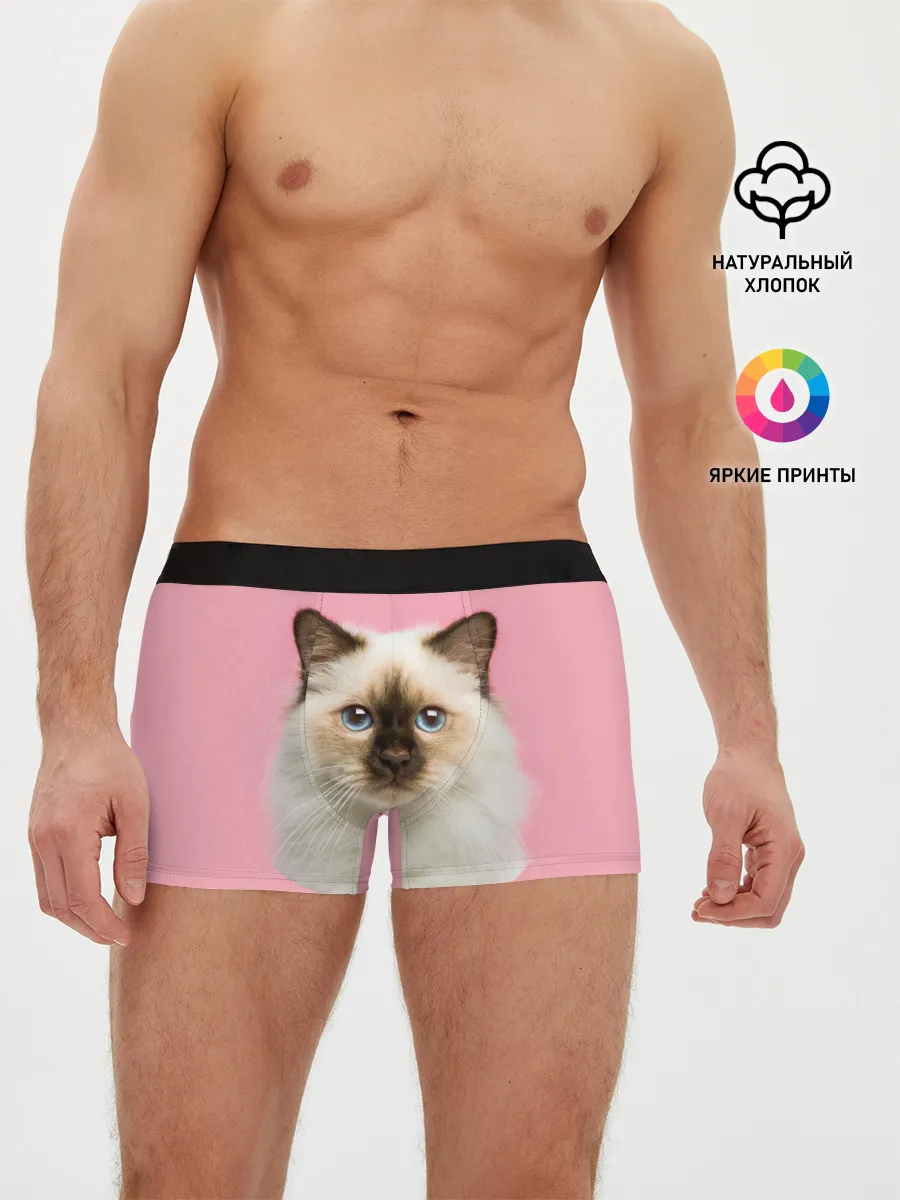 Мужские трусы боксеры / Пушистый кот
