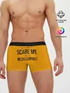 Мужские трусы боксеры / You cant scare me