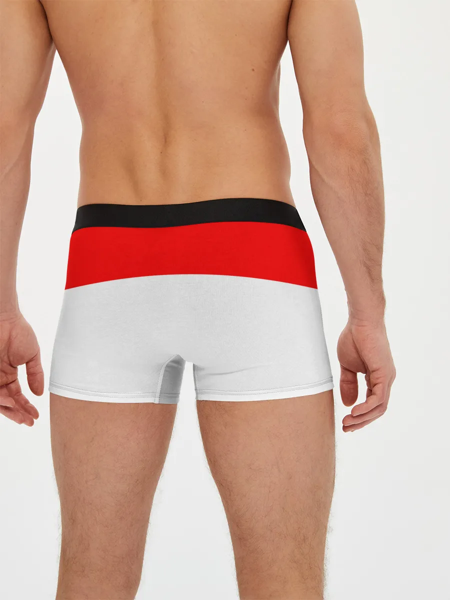 Мужские трусы боксеры / Нико Робин | One Piece. Большой куш