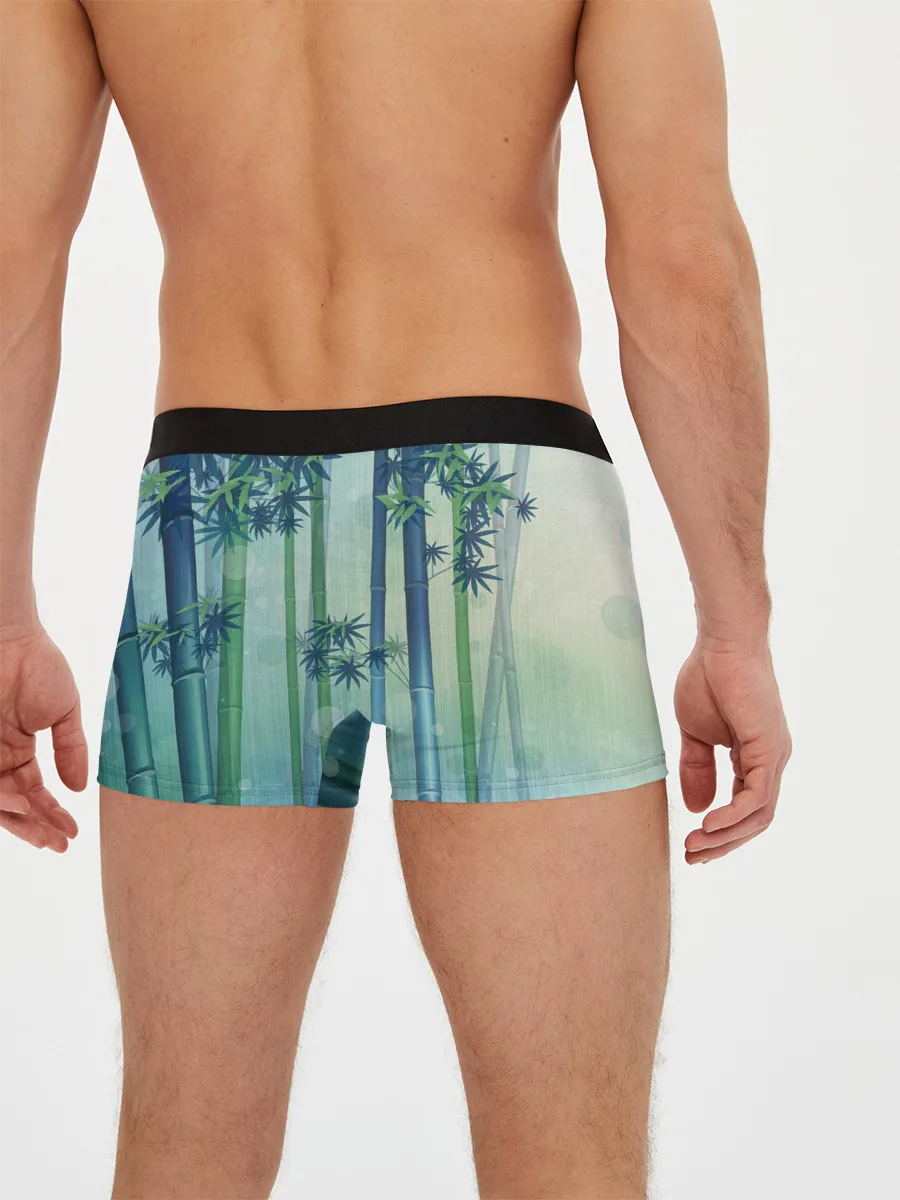 Мужские трусы боксеры / Слепой самурай Затойчи