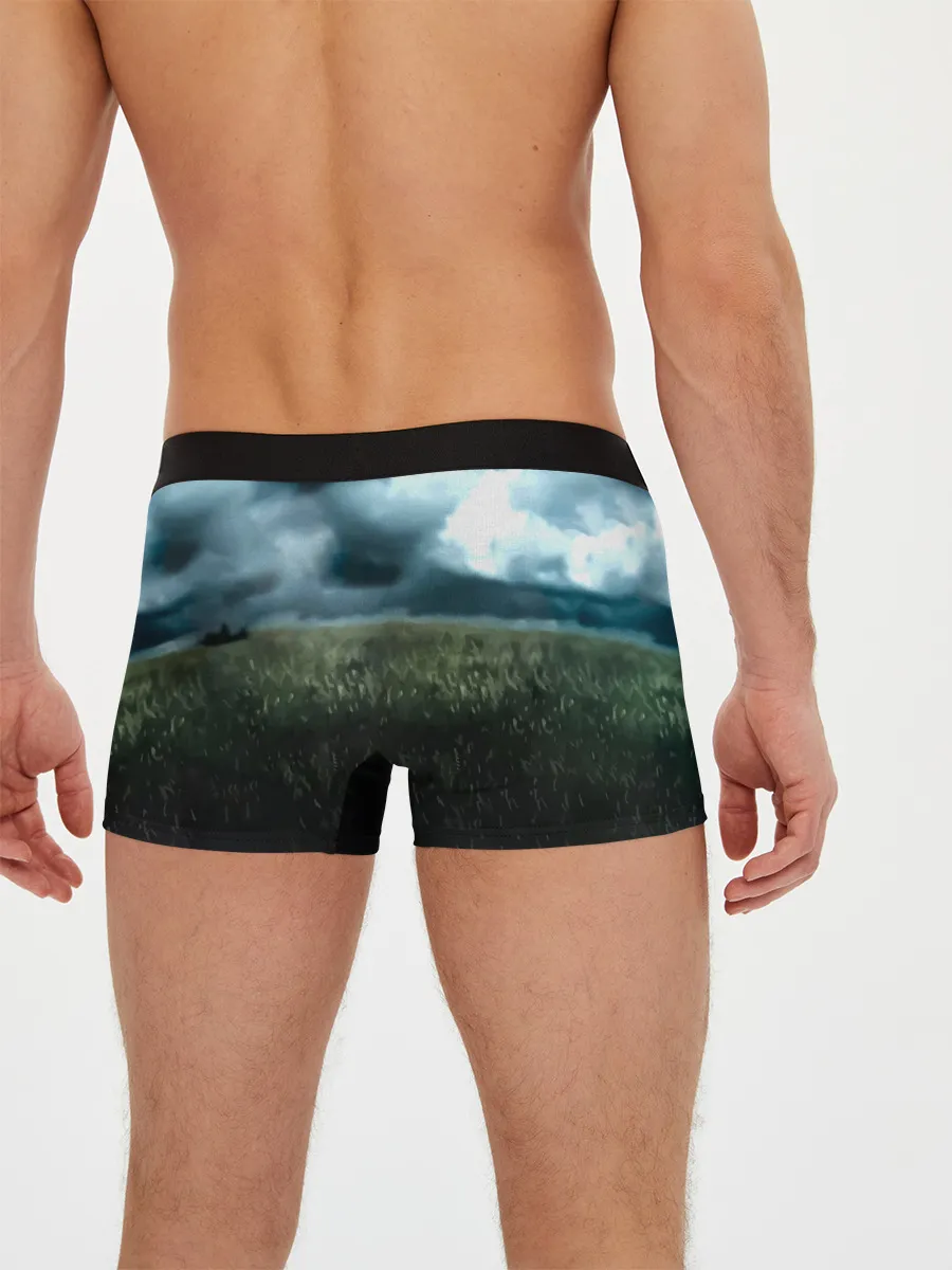 Мужские трусы боксеры / Луффи в поле. One Piece