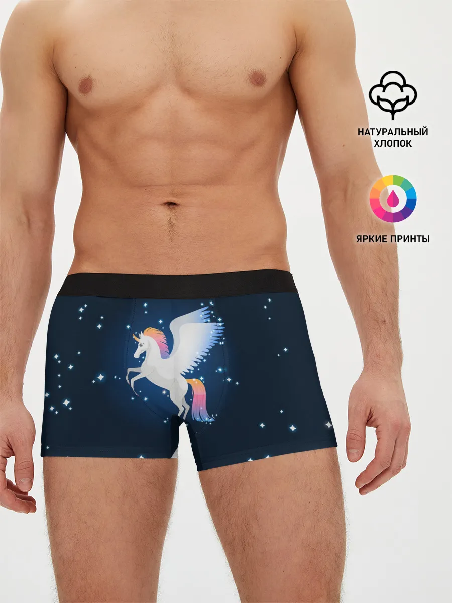 Мужские трусы боксеры / Милый пегас единорог с радужной гривой