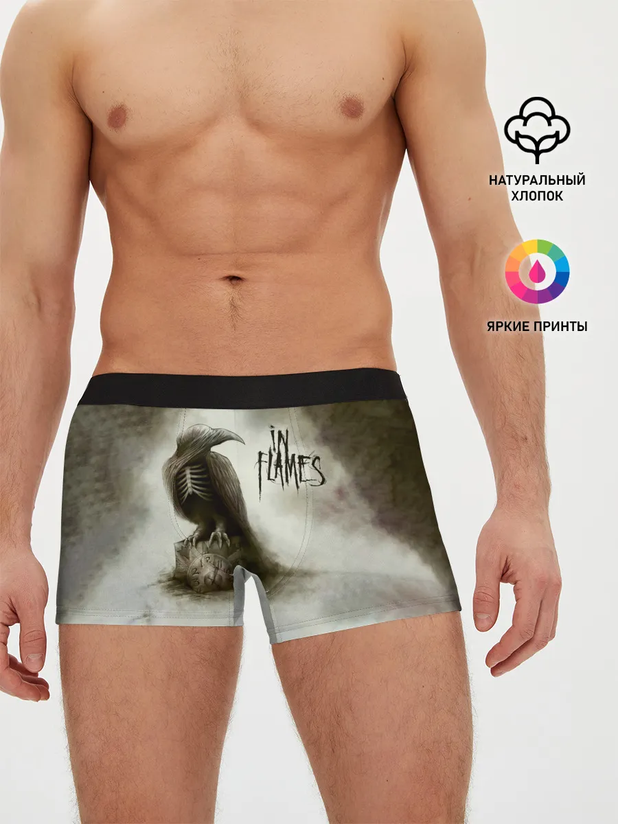 Мужские трусы боксеры / Sounds of a Playground Fading - In Flames