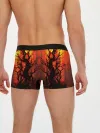 Мужские трусы боксеры / Колдунья со смычком