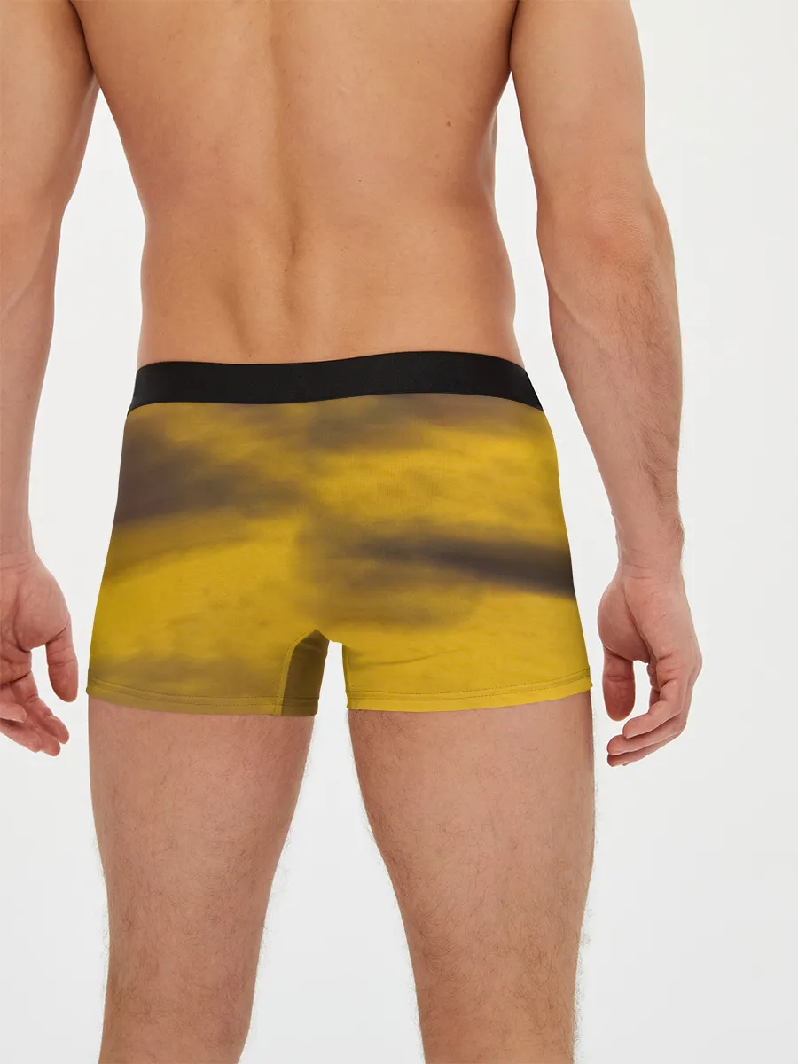 Мужские трусы боксеры / Black-Ash Inheritance - In Flames