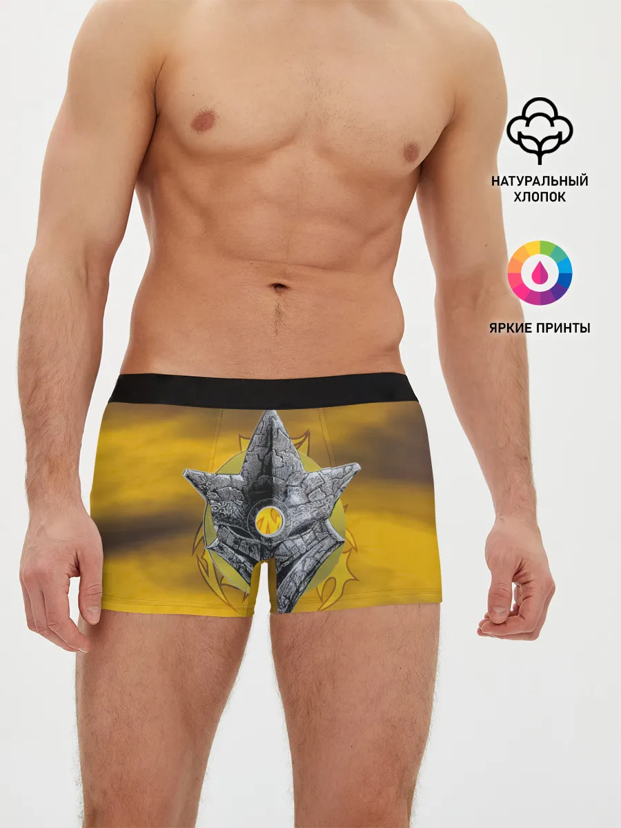 Мужские трусы боксеры / Black-Ash Inheritance - In Flames