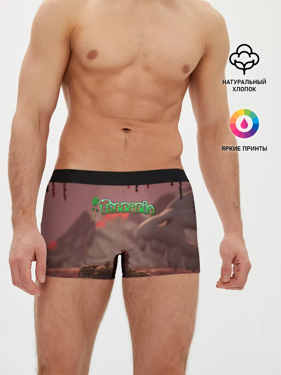 Мужские трусы боксеры / Terraria | Тэррария