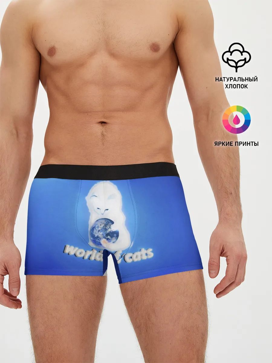 Мужские трусы боксеры / World of Cats