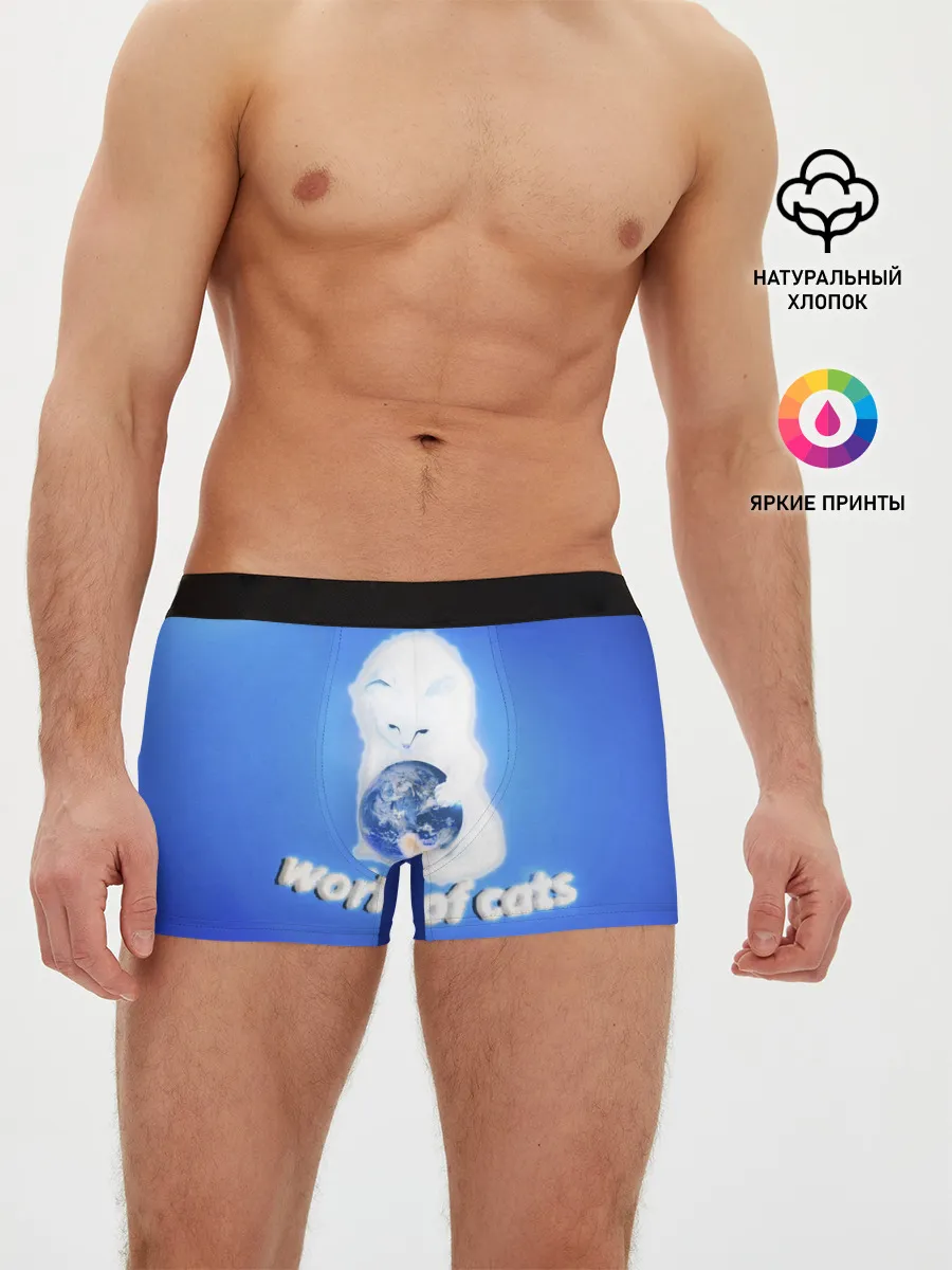 Мужские трусы боксеры / World of Cats