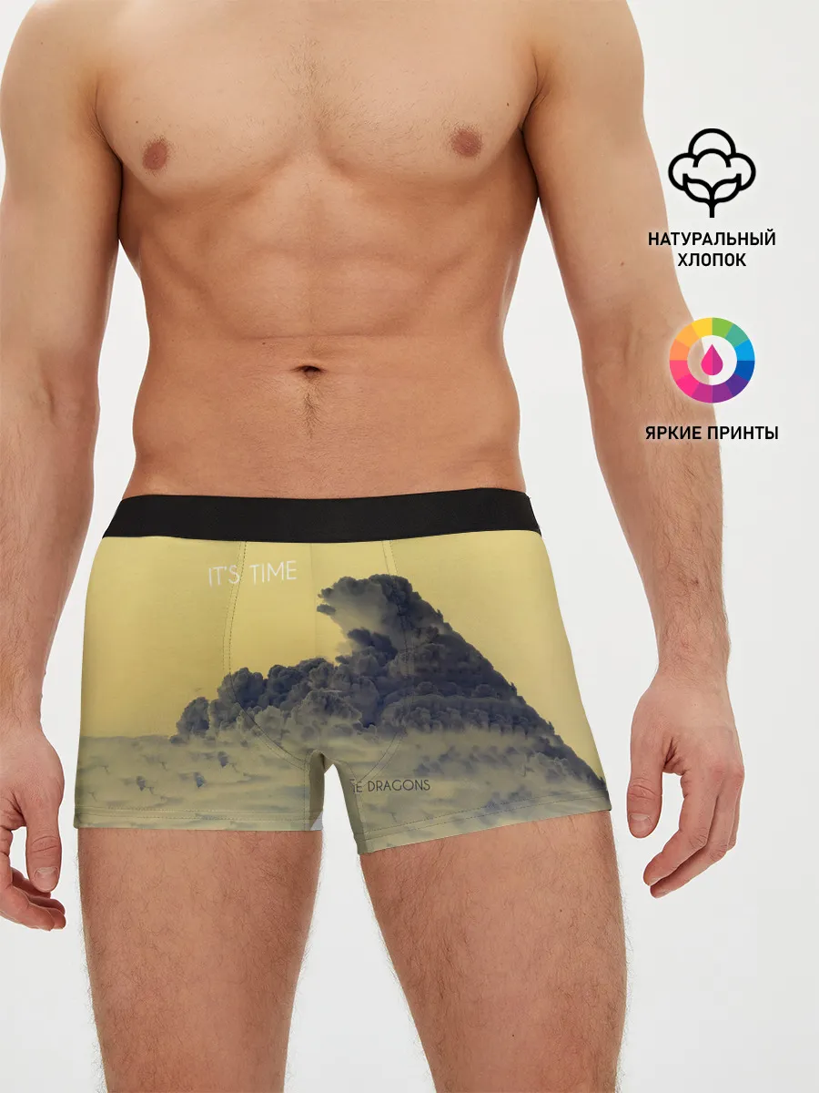 Мужские трусы боксеры / Its Time - Imagine Dragons