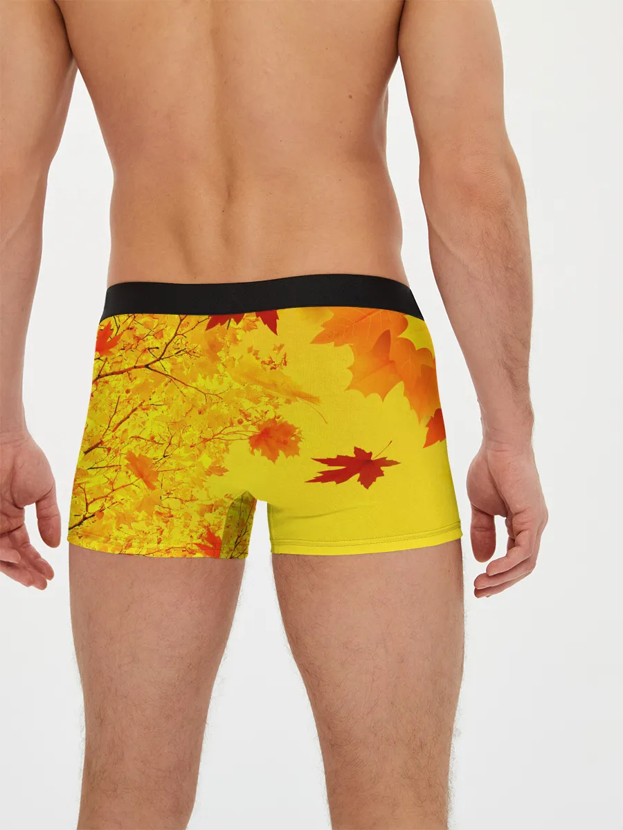 Мужские трусы боксеры / ОСЕННИЕ ЦВЕТА | ЗОЛОТАЯ ОСЕНЬ