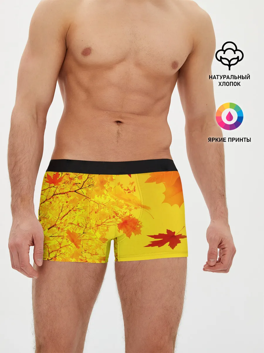 Мужские трусы боксеры / ОСЕННИЕ ЦВЕТА | ЗОЛОТАЯ ОСЕНЬ