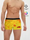 Мужские трусы боксеры / ОСЕННИЕ ЦВЕТА | ЗОЛОТАЯ ОСЕНЬ