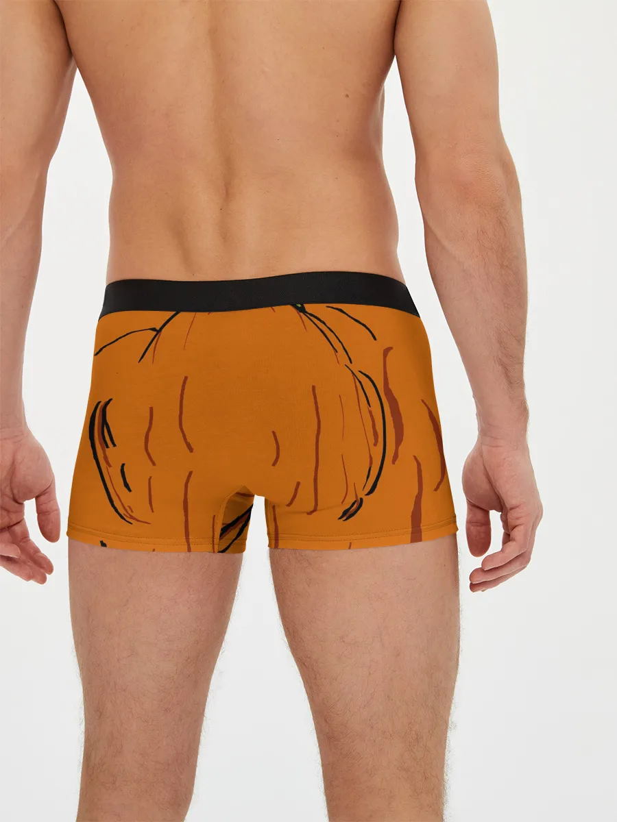 Мужские трусы боксеры / Костюм тыквы / Halloween