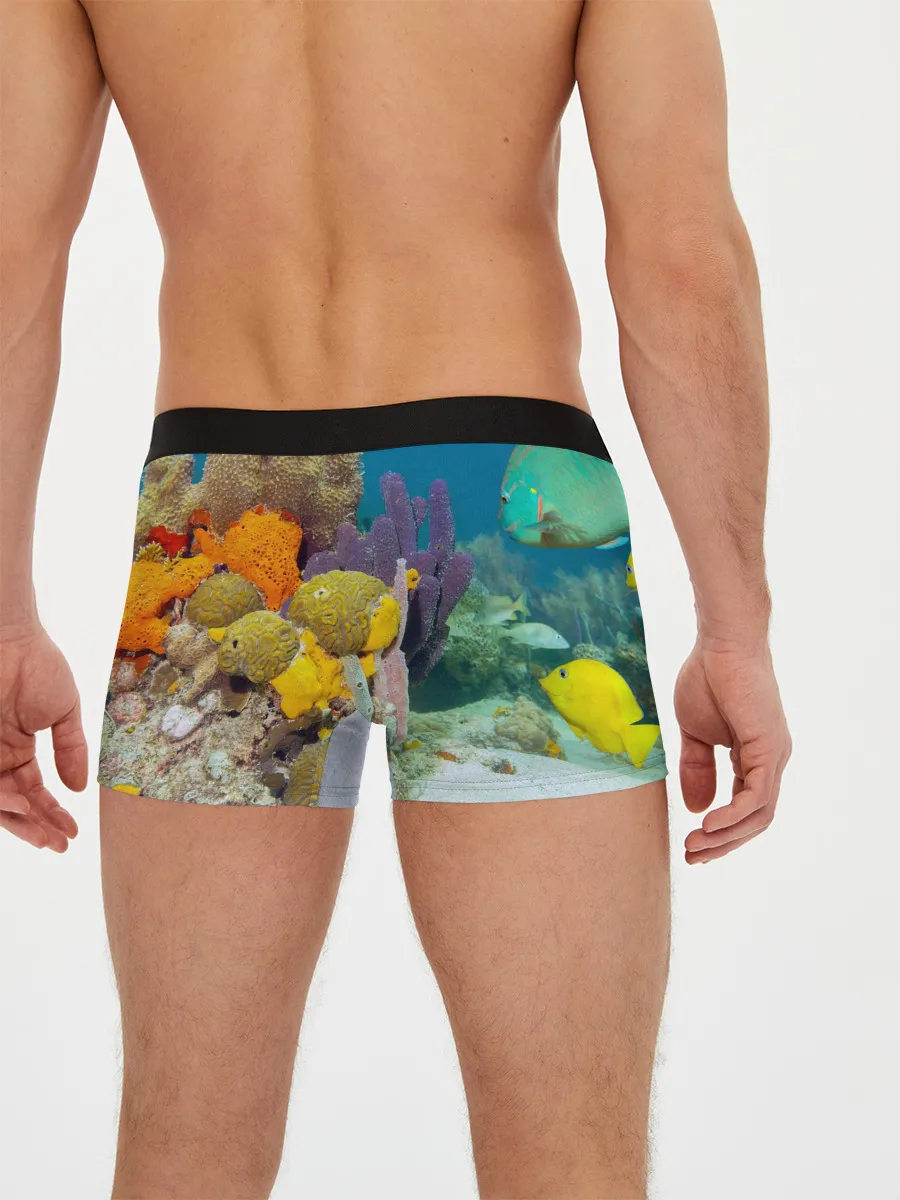 Мужские трусы боксеры / Морской мир