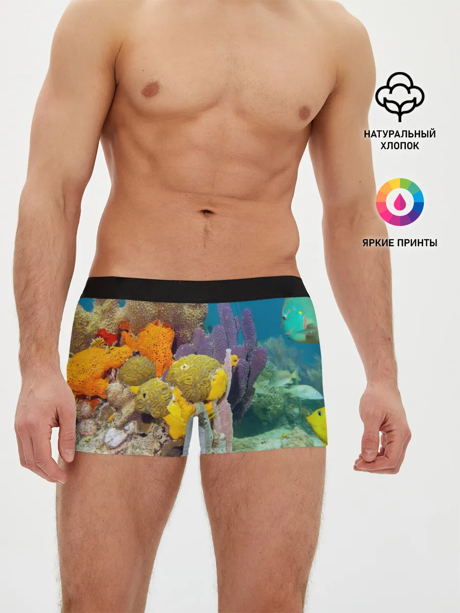 Мужские трусы боксеры / Морской мир