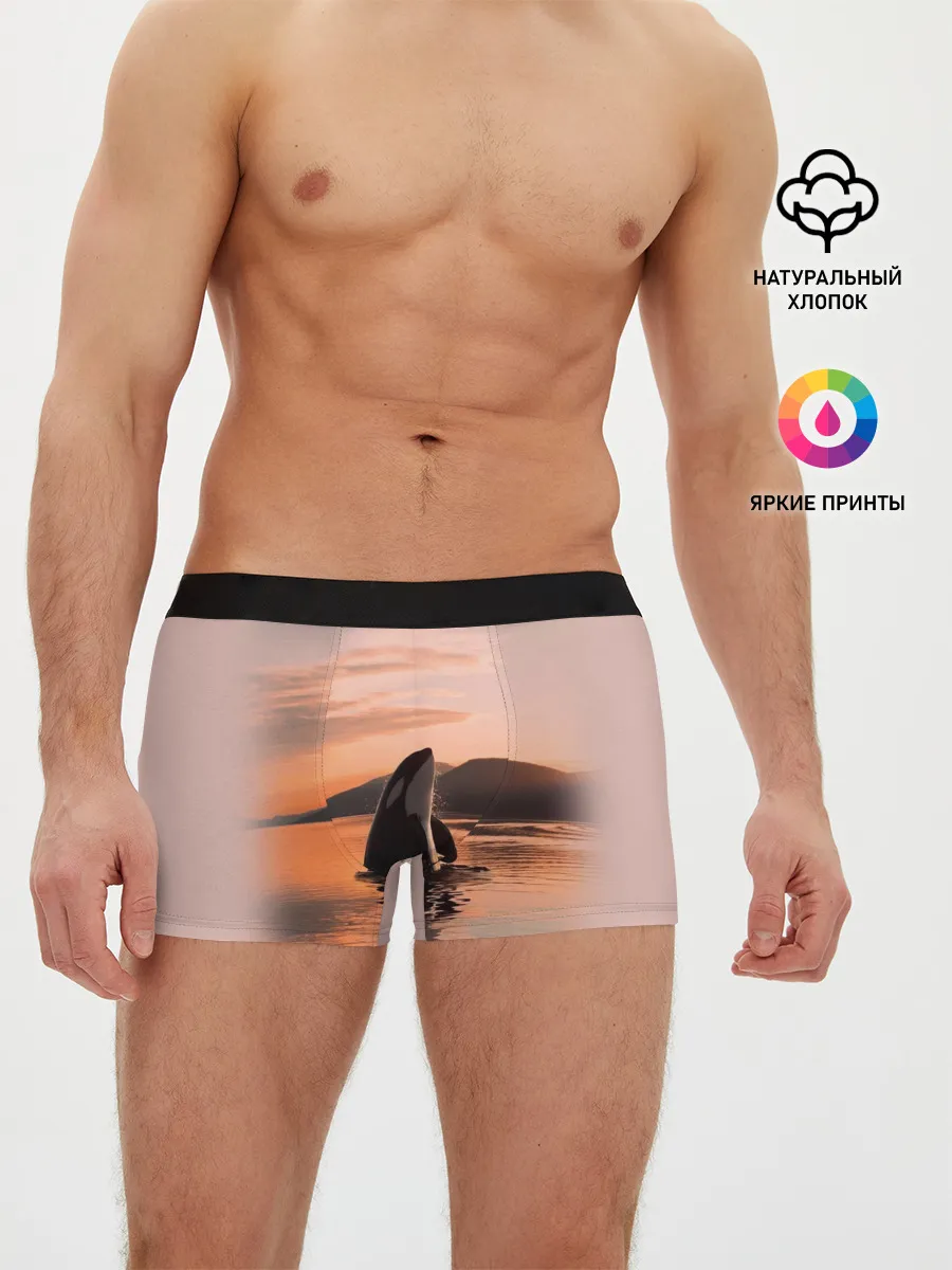 Мужские трусы боксеры / касатки на закате