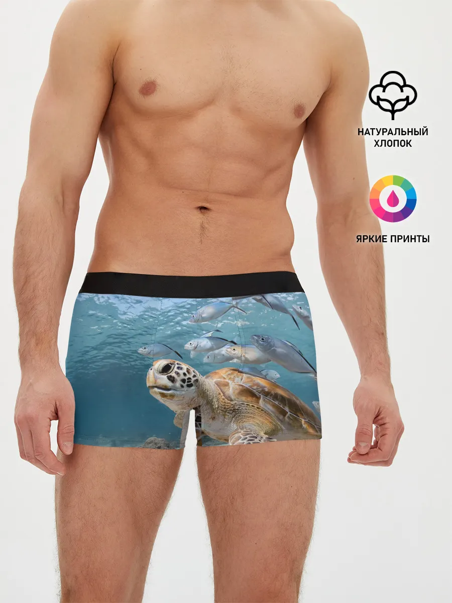 Мужские трусы боксеры / Морская черепаха