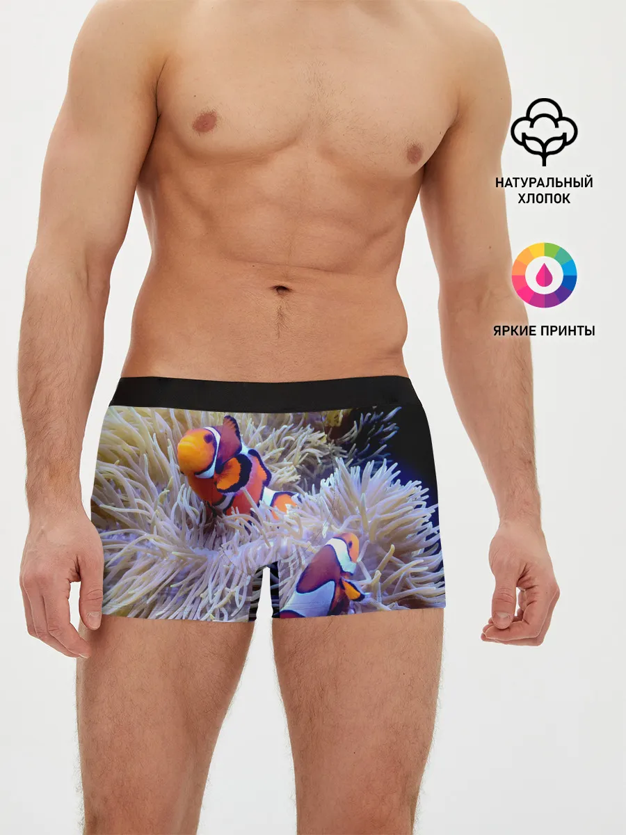 Мужские трусы боксеры / Клоуны в актинии
