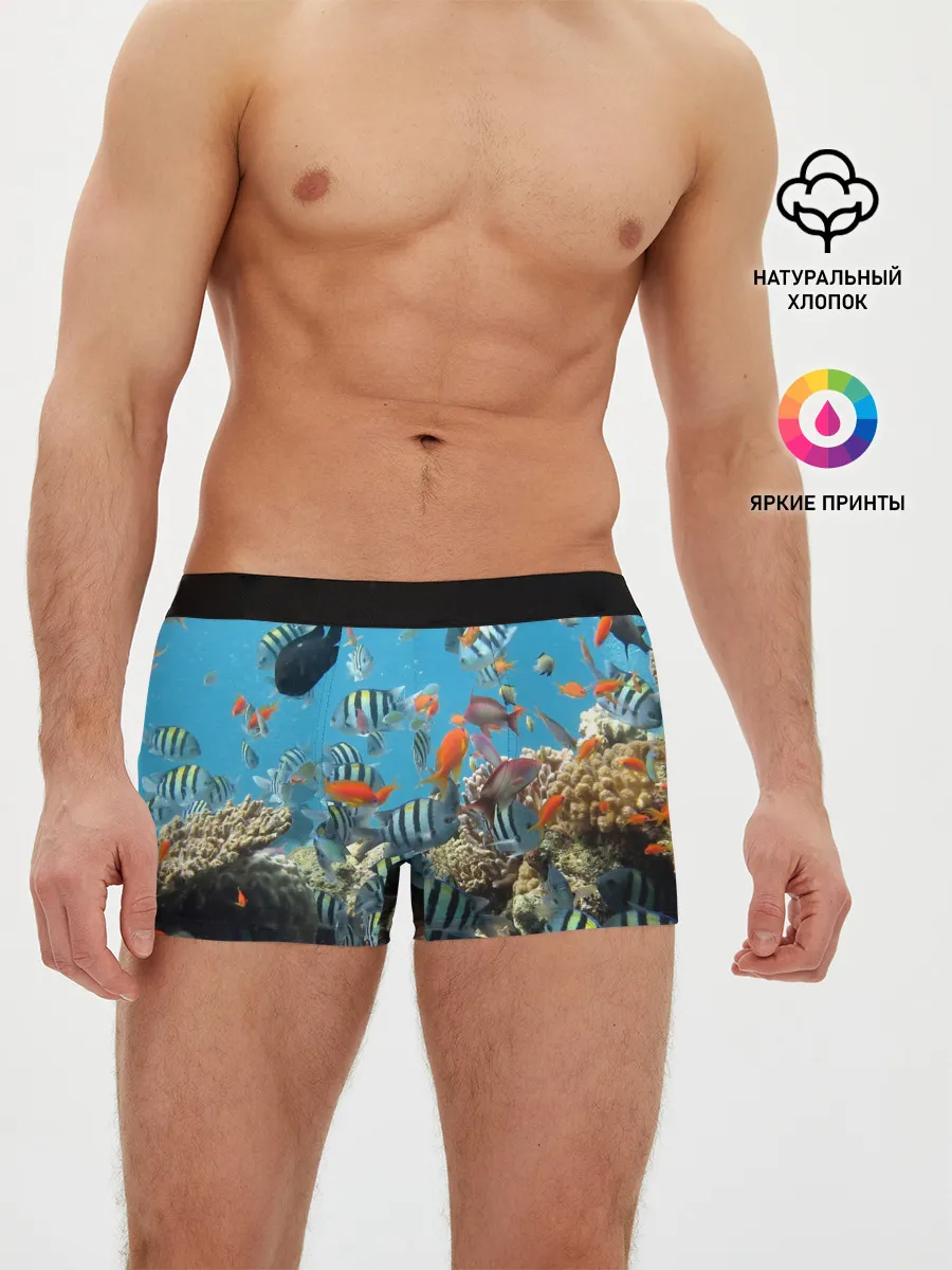 Мужские трусы боксеры / Коралловые рыбки