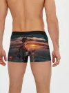 Мужские трусы боксеры / Tartaglia art