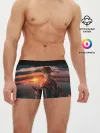 Мужские трусы боксеры / Tartaglia art