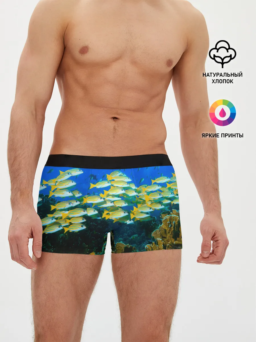 Мужские трусы боксеры / Коралловые рыбки