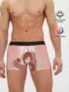 Мужские трусы боксеры / Ty Lee Avatar