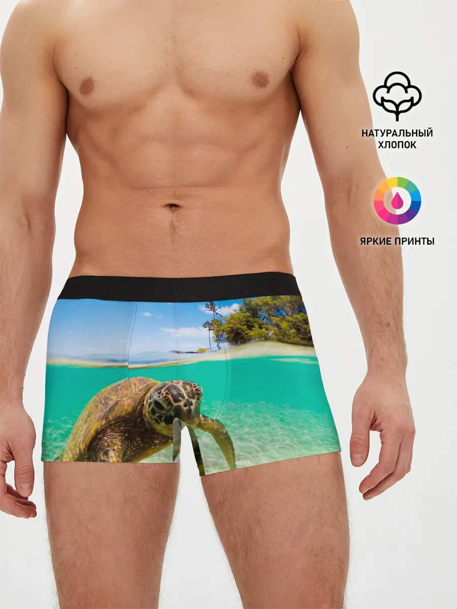 Мужские трусы боксеры / Морская черепашка