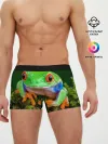 Мужские трусы боксеры / Тропическая лягушка