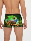 Мужские трусы боксеры / Тропическая лягушка