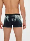 Мужские трусы боксеры / Итан Уинтерс