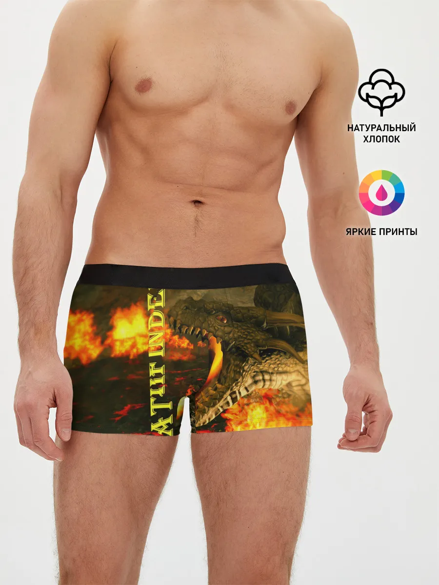 Мужские трусы боксеры / Pathfinder | НРИ
