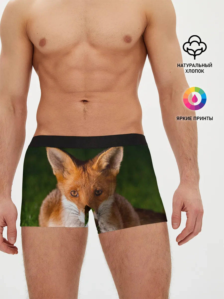 Мужские трусы боксеры / Лисица