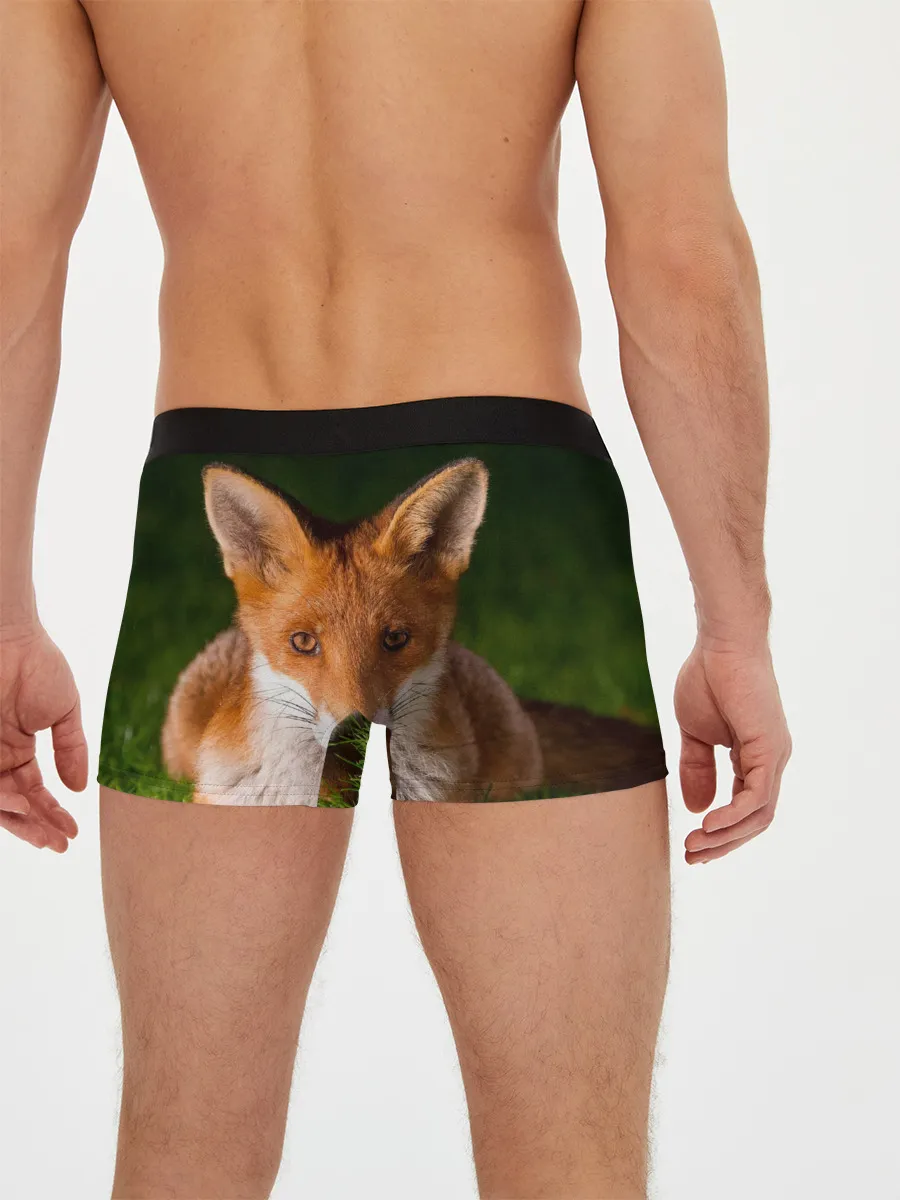 Мужские трусы боксеры / Лисица