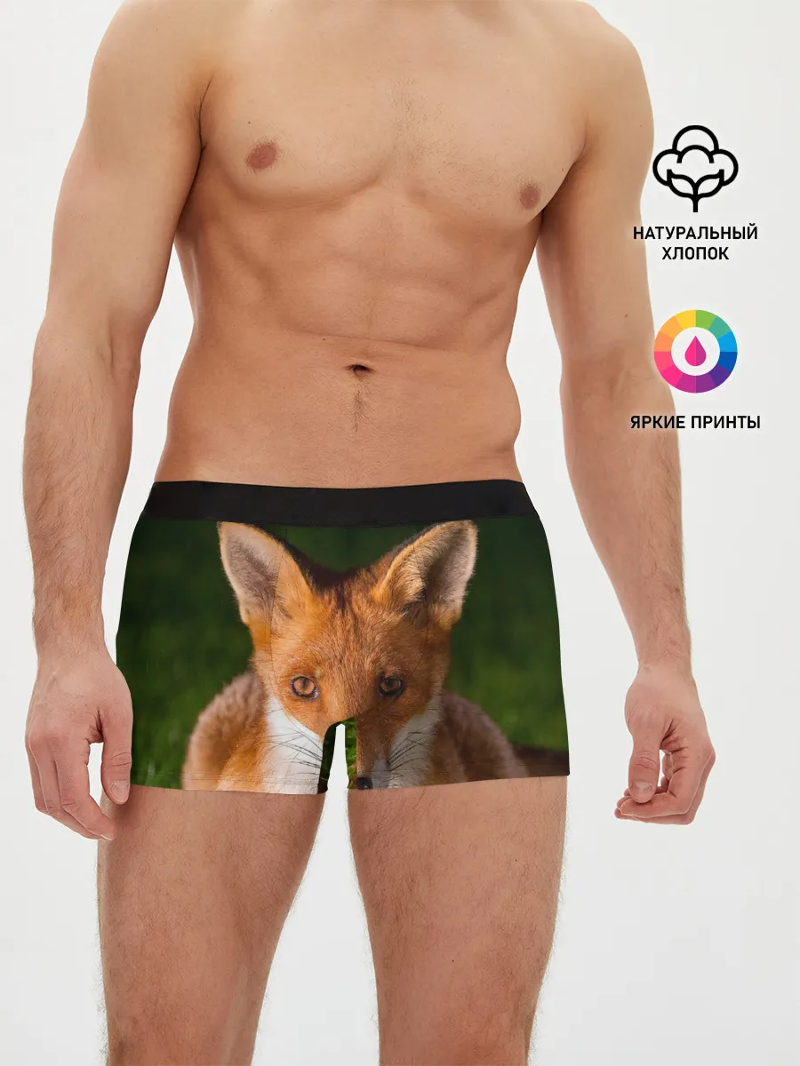 Мужские трусы боксеры / Лисица