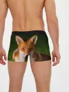 Мужские трусы боксеры / Лисица