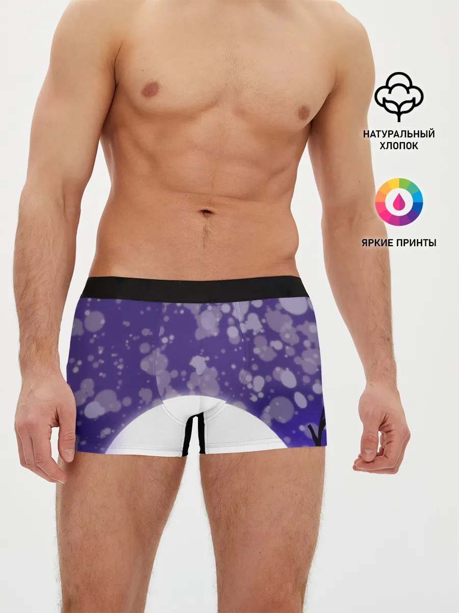 Мужские трусы боксеры / одинокое дерево в ночи