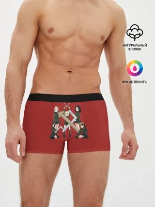 Мужские трусы боксеры / Girls und Panzer Правда